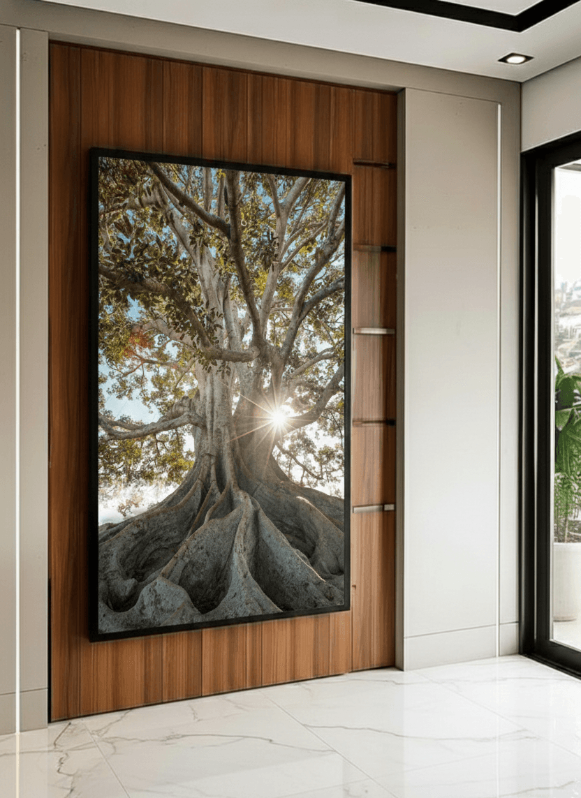 Imagem do quadro 1